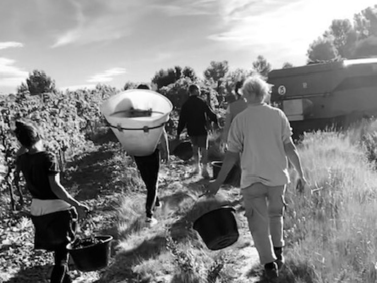 DOMAINE TERRES GEORGES