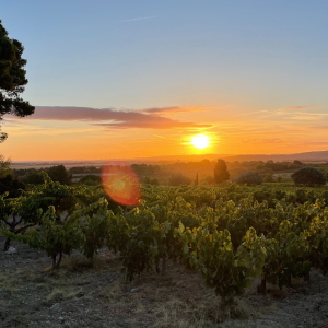 DOMAINE CHANTE COCOTTE