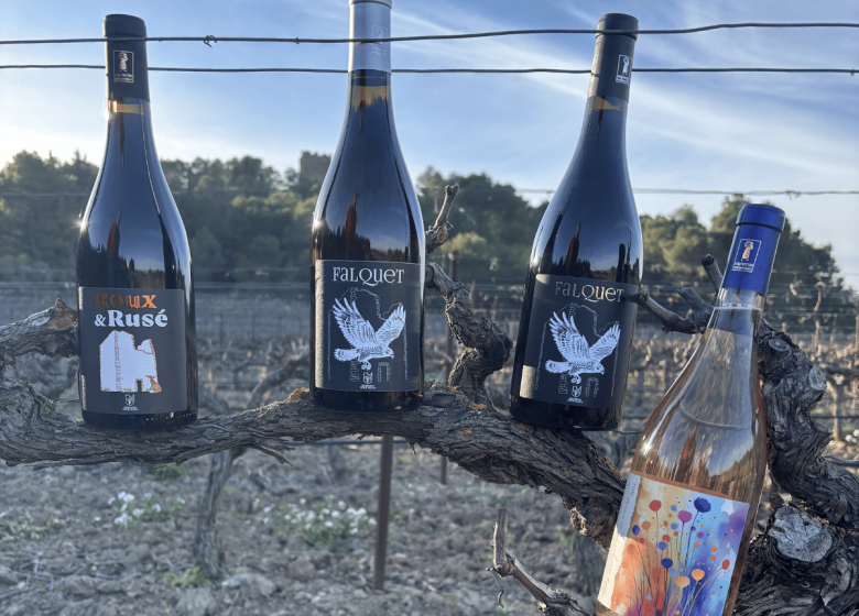 DOMAINE DE LA TOUR SCALA