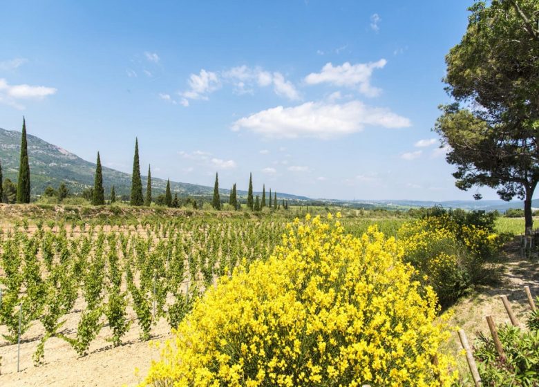 GITE CHATEAU CICERON – LA CASA GRAN