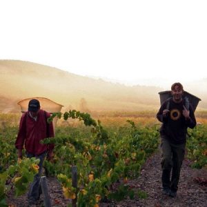 DOMAINE GRAND GUILHEM