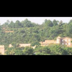 DOMAINE PRADINES D’AMONT