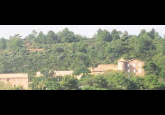 DOMAINE PRADINES D’AMONT