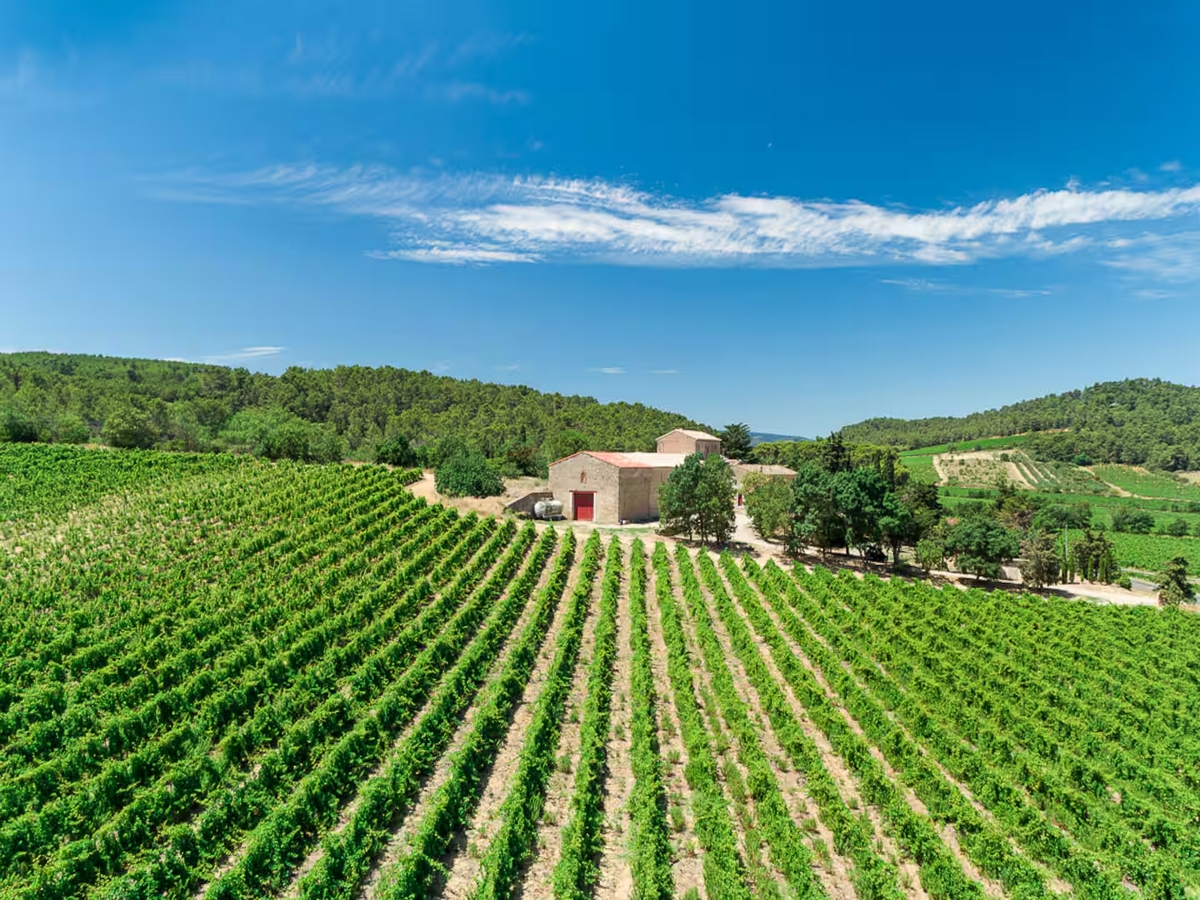 GITE DOMAINE PRAX VIEL – SYRAH