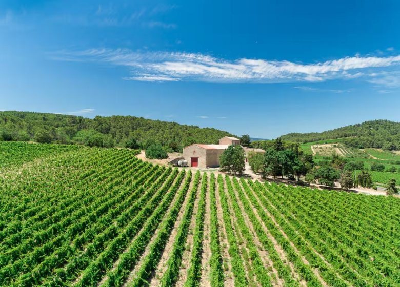 DOMAINE DE PRAX VIEL