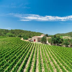 GITE DOMAINE PRAX VIEL – MUSCAT