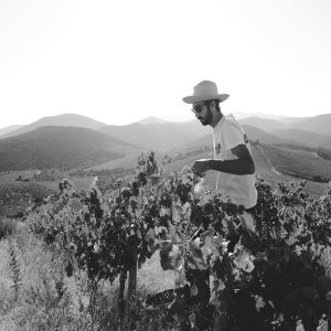 DOMAINE LES ABRIGANS