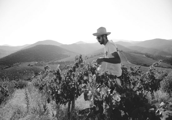 DOMAINE LES ABRIGANS