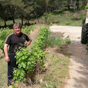 DOMAINE DES VIOLETTES