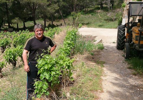 DOMAINE DES VIOLETTES