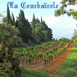 DOMAINE LA COURBAIROLE