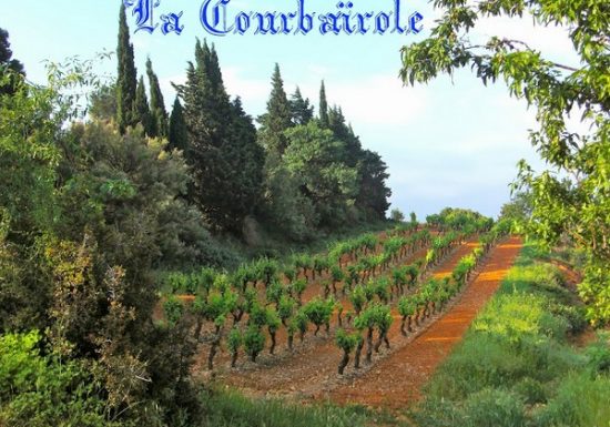 DOMAINE LA COURBAIROLE