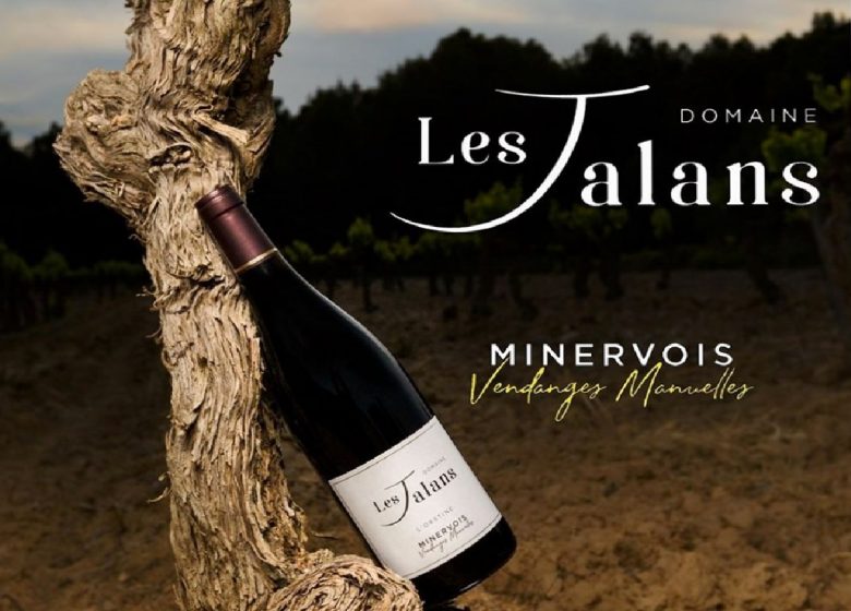 DOMAINE LES JALANS