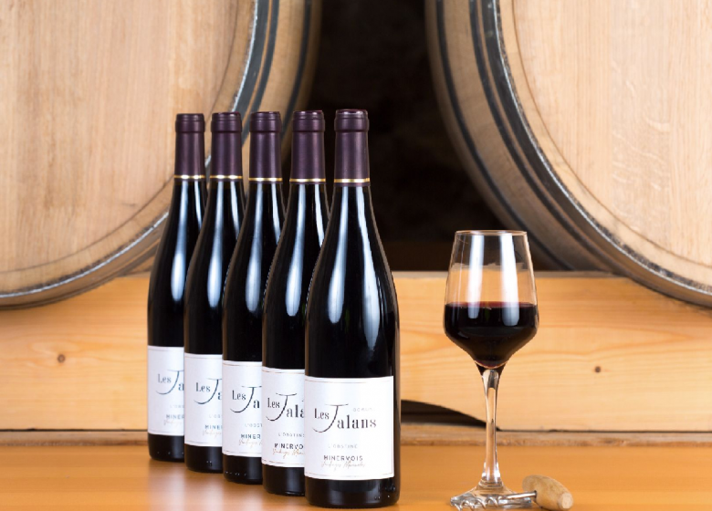 DOMAINE LES JALANS