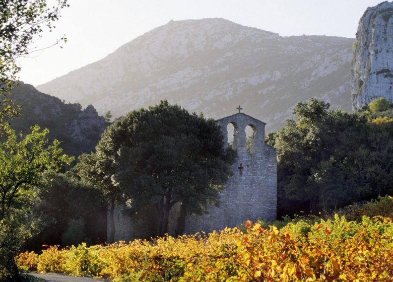 FASE 5 LA RONDA AL COR DE CORBIERES EMBRES I CASTELMAURE - VILLESEQUE DES CORBIERES