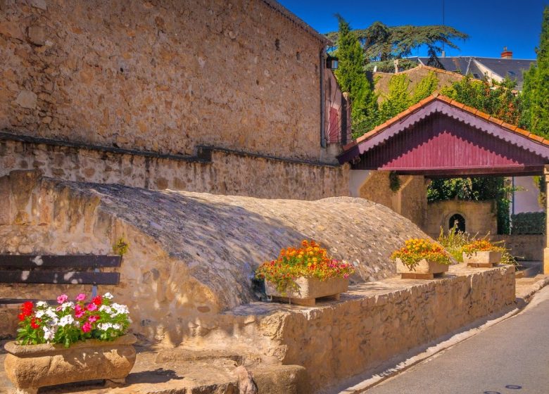 EL CAMÍ DE LA VINYA DEL CORBIÈRES