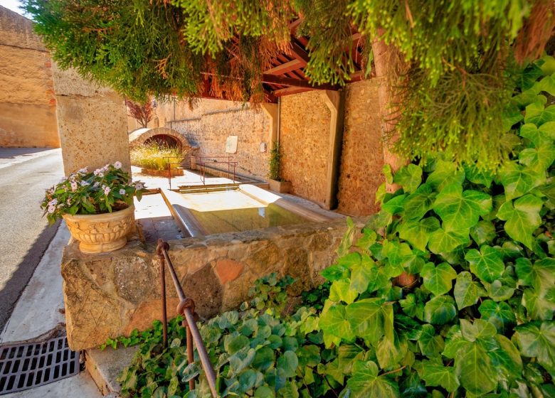 LE SENTIER VIGNERON DES CORBIÈRES