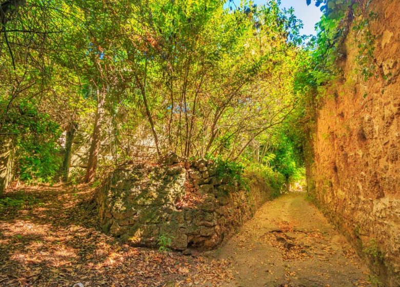 EL CAMÍ DE LA VINYA DEL CORBIÈRES