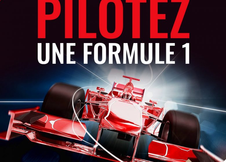 FLYZONE – SIMULATEUR DE FORMULE 1