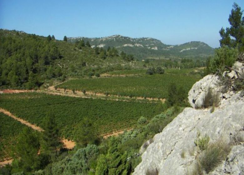 HÜTTE LA BASTIDE