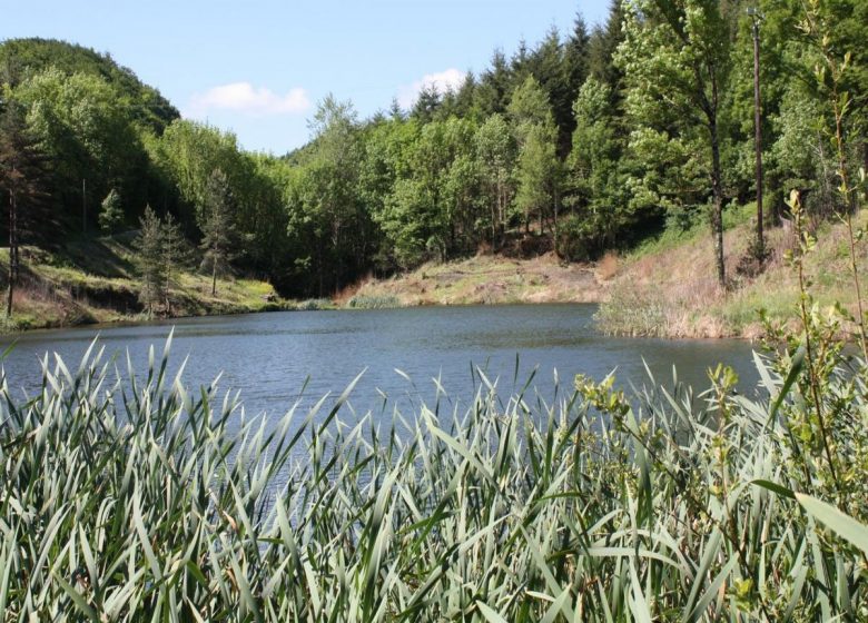 GITE LA BERGERIE DU LAUQUET