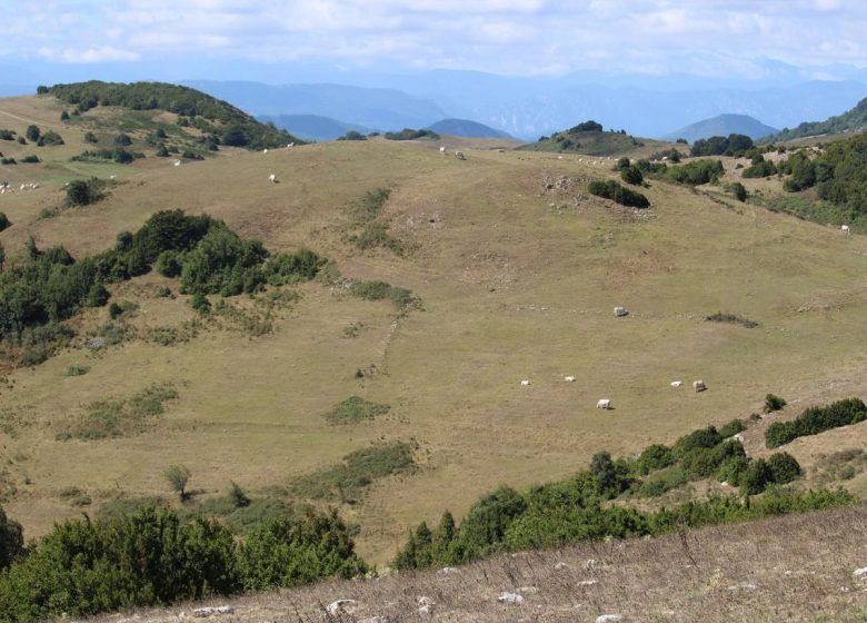 GITE LA BERGERIE DU LAUQUET