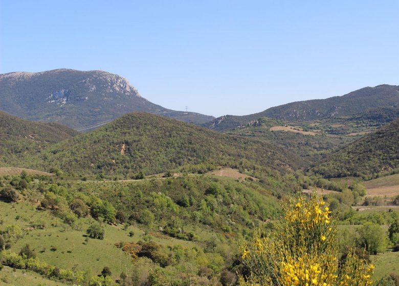 GITE LA MAISON DU TORGAN