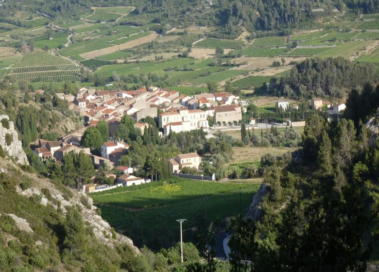 GITE LA MAISON DU TORGAN