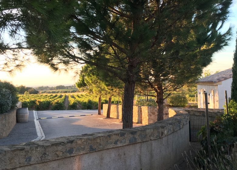 GITE LES JARDINS DE MONTBRUN – LE CABERNET