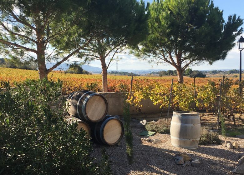 GITE LES JARDINS DE MONTBRUN – LE CABERNET