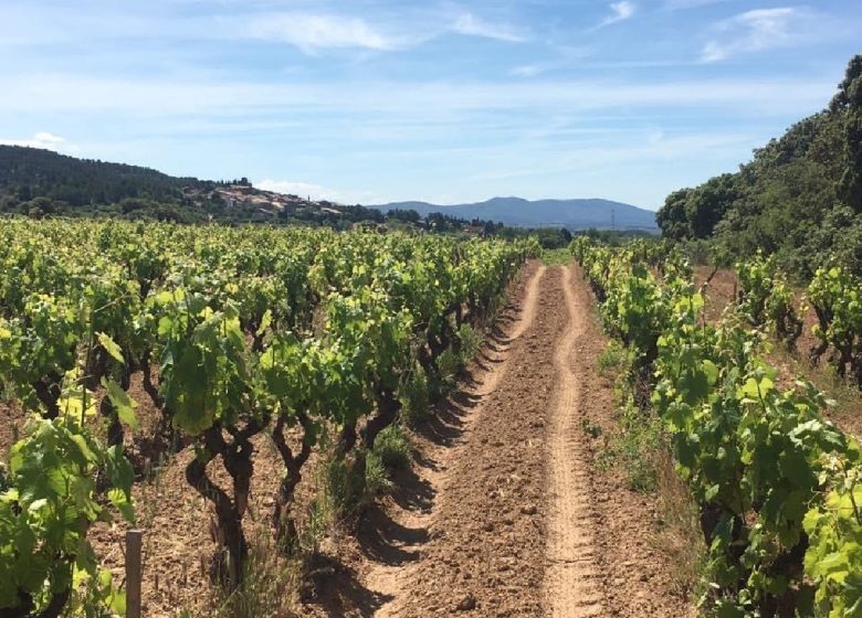 CASA LES JARDINS DE MONTBRUN – LE CARIGNAN