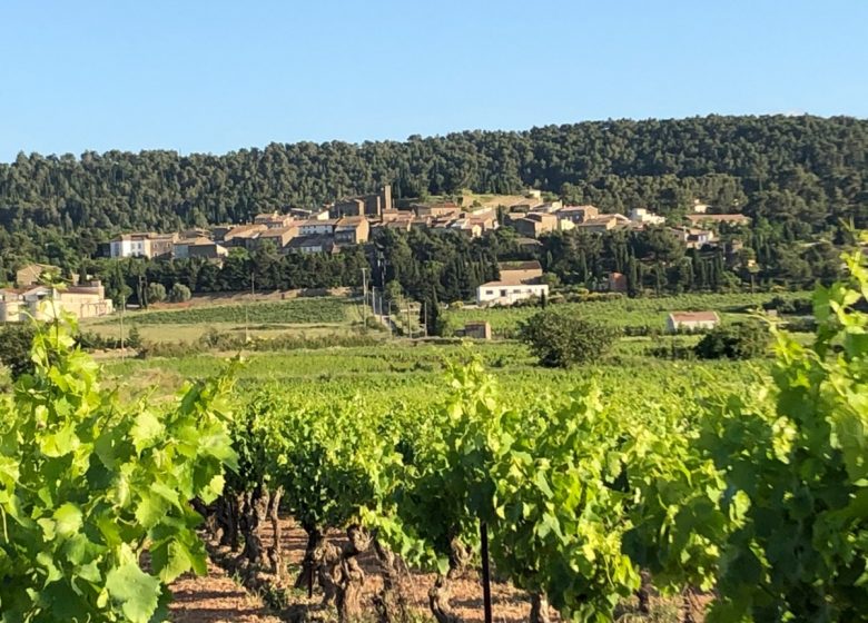 GITE LES JARDINS DE MONTBRUN – LE CHARDONNAY