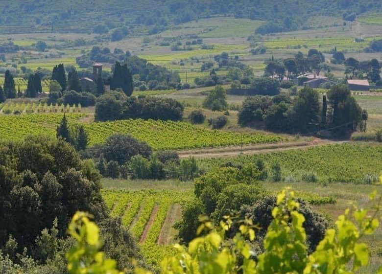 CASA LES JARDINS DE MONTBRUN – LE MERLOT