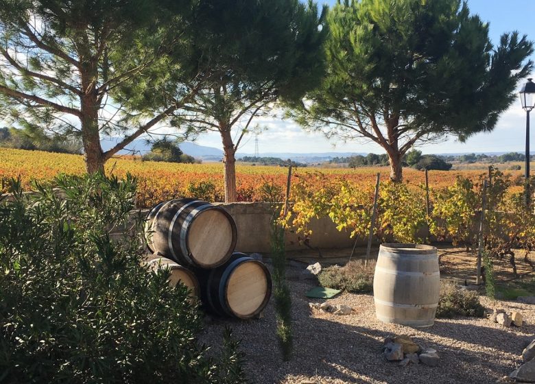 CASA RURAL LES JARDINS DE MONTBRUN – LE MAS DE MONTBRUN