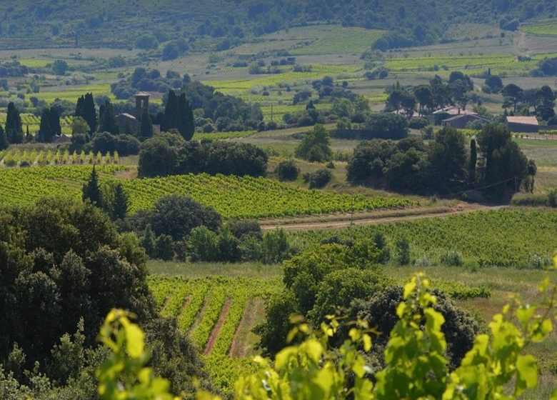 GITE LES JARDINS DE MONTBRUN – LE MAS DE MONTBRUN