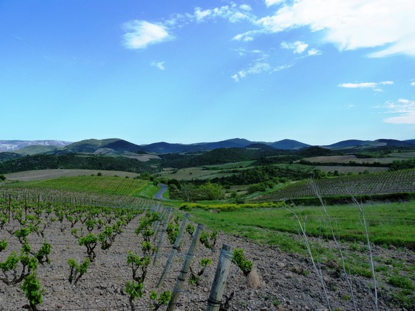 ACOGEDORA CASA RURAL EN PAÍS CÁTARO