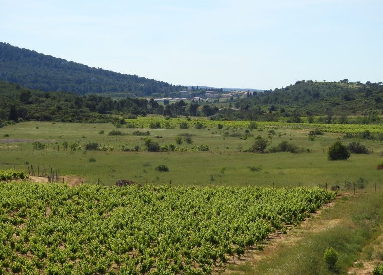 GITE DU CLOS