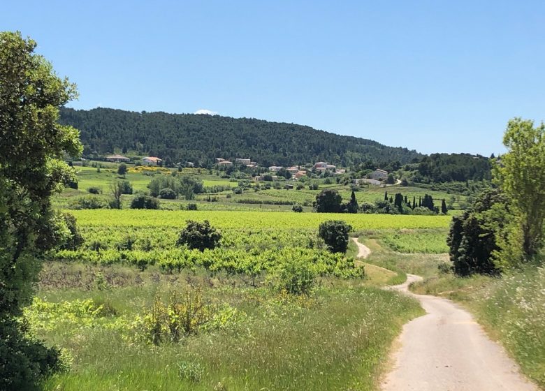 COTTAGE LES JARDINS DE MONTBRUN – CHATEAU HENRI