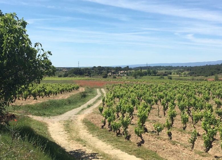 FERIENHAUS LES JARDINS DE MONTBRUN – CHATEAU HENRI