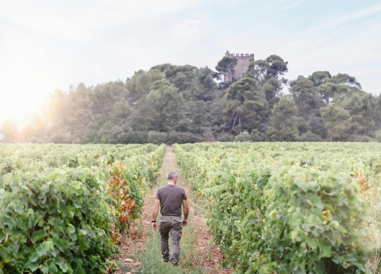 THE VINEYARDS OF EXÉA – CASTLE OF SÉRAME