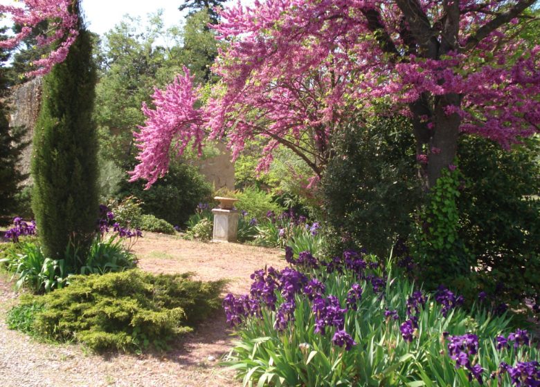 SOUS LES PINS AUX CHEVEUX VERTS