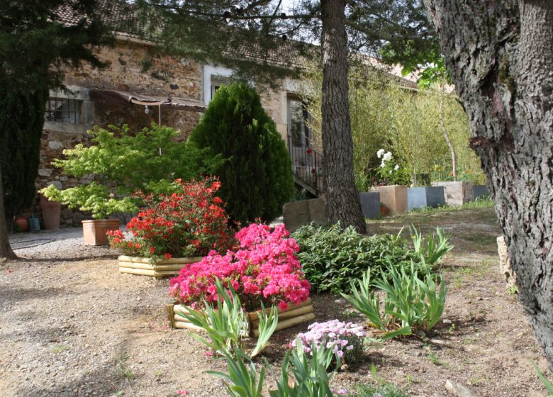 SOUS LES PINS AUX CHEVEUX VERTS