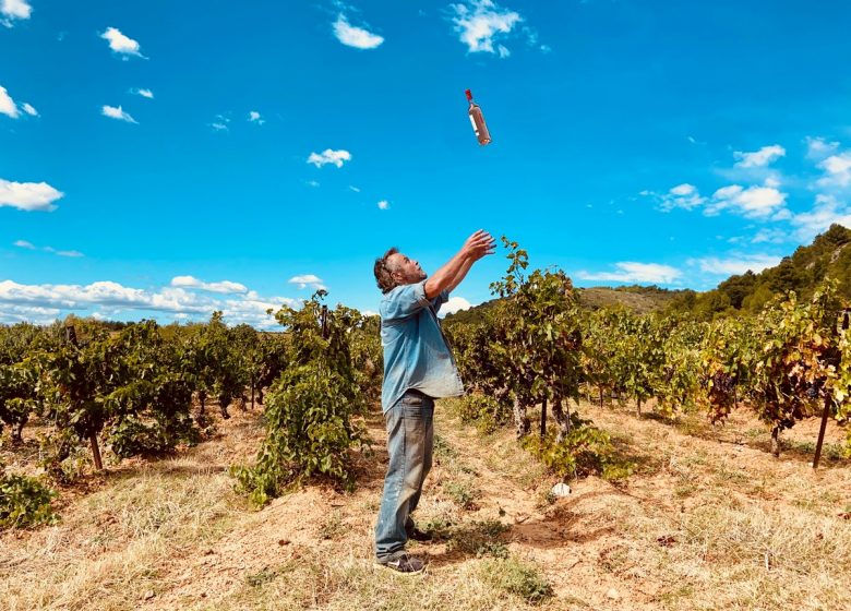 BODEGA DEMOISELLES