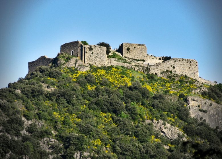 SCHLOSS DER BEDINGUNGEN