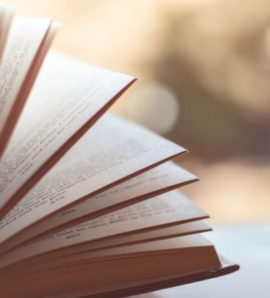 LECTURES EN PLEIN AIR