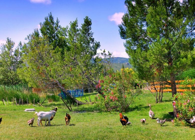 CAMPSITE LA PEIRIÈRE