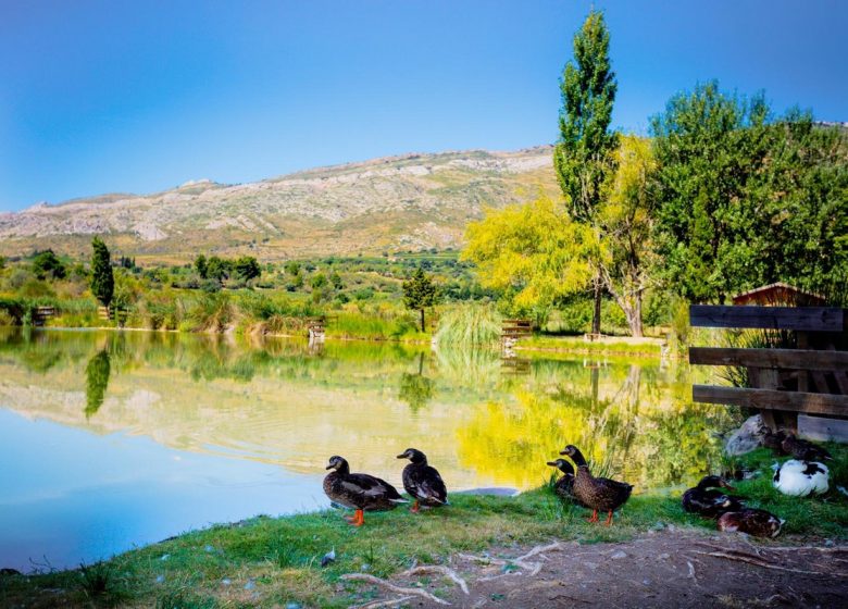 CAMPINGPLATZ LA PEIRIÈRE