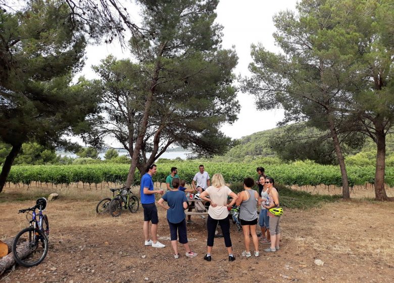 LANGUEDOC VTT ÉVASION