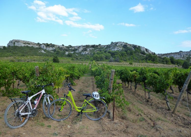 ESCAPE DE MTB EN LANGUEDOC