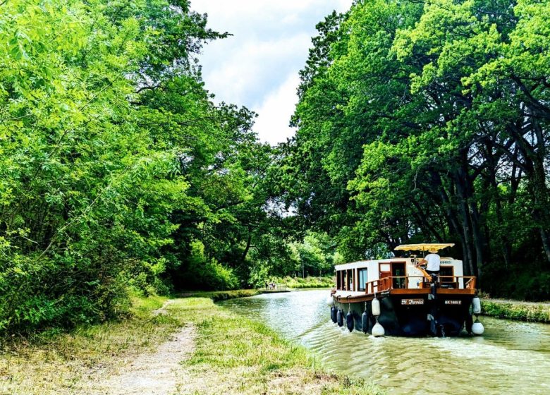 CRUCEROS MIDI